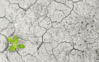 UN Climate Report Warns of Inadequate Progress toward Paris Agreement Goals