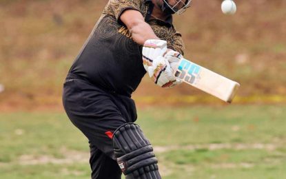 Haslim slams 81 in Wasiq Sports’ triumph