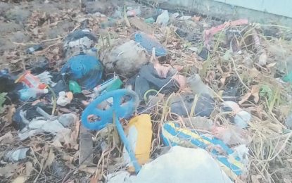 Woman, 84, concerned about health as neighbour, Chinese supermarket dump waste on her property