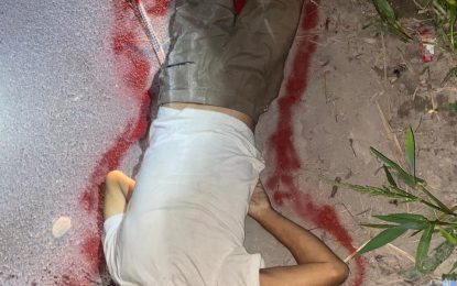 Reversing truck crushes man to death at Madewini