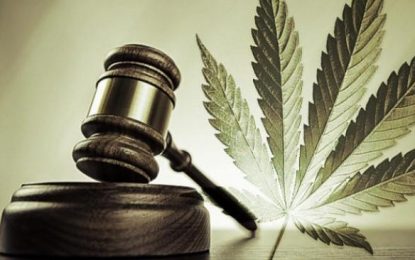 Agricola businessman remanded for 137 grammes of marijuana