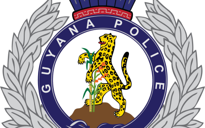 Murder rate up by 18.7% – police