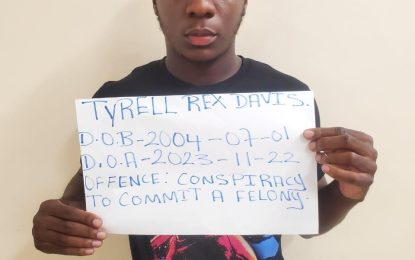 Bank teller, teacher remanded for allegedly stealing money from bank