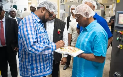 NAMILCO commissions US$8M mixing plant