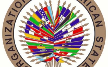 OAS Permanent Council to discuss surge in gang violence across the Americas