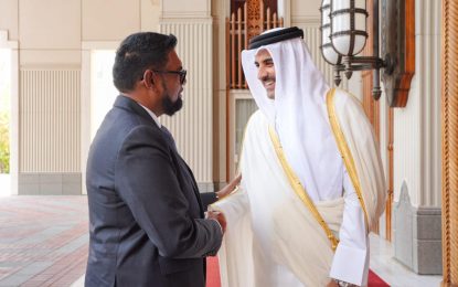 Guyana, UAE to extend cooperation in energy, technology, other areas  