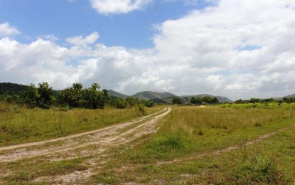 Cattle rustler leaps out of home after cow’s carcass found buried in his yard