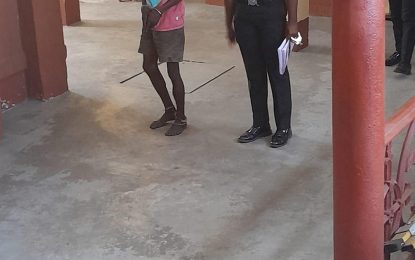 Man tells court he stole solar lights because he smokes drugs