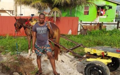 Man arrested for operating ‘unregistered horse cart’