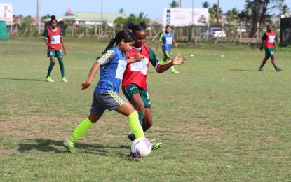 Blue Water Girls’ Under-15 Development League to go nationwide in 2024