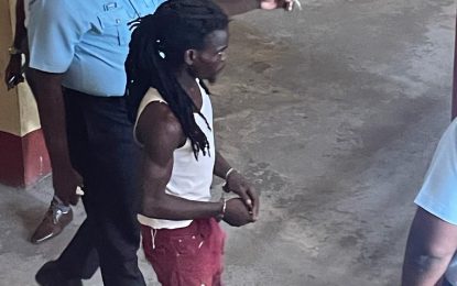 Sophia man tells Court he found illegal gun while cleaning trench
