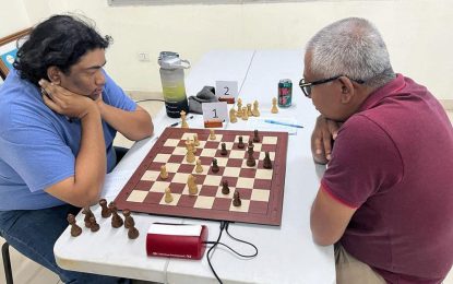 Who will be the next senior Chess Champion?