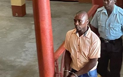 Shopkeeper placed on bail for inflicting grievous bodily harm on minor