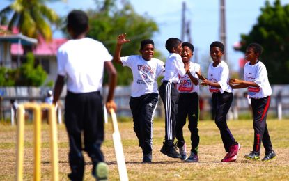 Cropper, Tain and Fyrish to vie  for Berbice’s Future Warriors Tapeball title