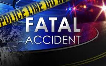 Man killed by drunk driver while doing construction work at Montrose