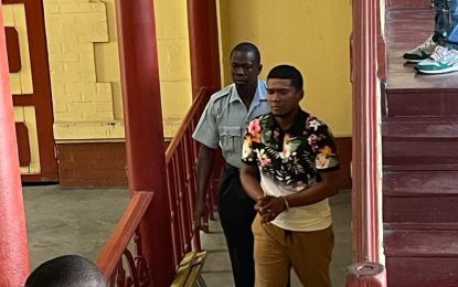 Taxi driver, nabbed with guns, to spend Christmas in jail