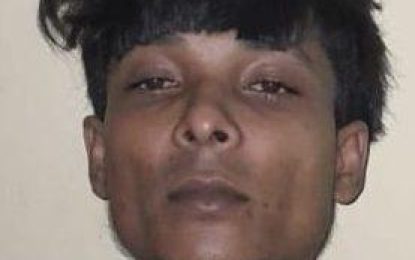 Labourer jailed for possession of ammo