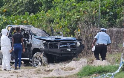 Businessman dies while test-driving pickup