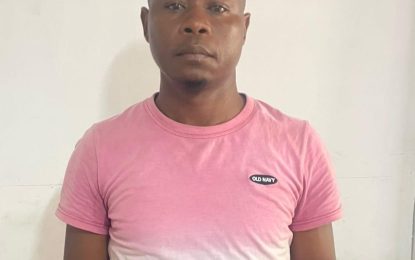 NIS driver on $500K bail for causing death by dangerous driving