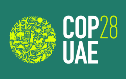 Report recommends young people get a fair share of climate finance