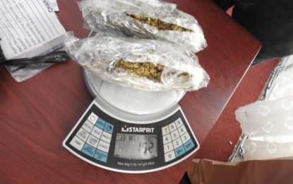 Female Prison Officer arrested for attempting to smuggle ganja into NA Prison