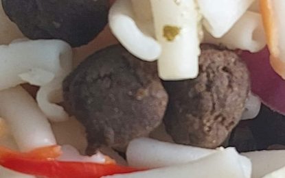 Woman arrested after meat in macaroni turns out to be weed