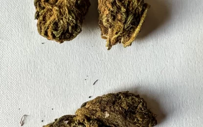 Prevalence of dangerous “creepy weed” cause for concern – Min. Robeson Benn