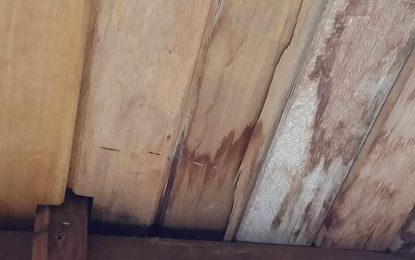 Bandits attempt to invade Annandale family’s home a third time