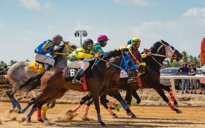 Breeding industry is the answer