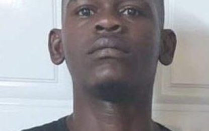 Son gets second chance after stealing cash, phone from mother