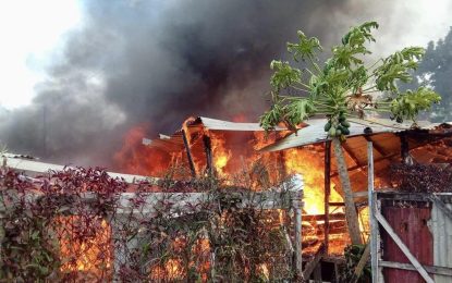 Early morning fire guts Chinese supermarket at Timehri