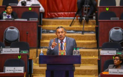 Biscuit roads being built for Hinterland – MP Vincent Henry