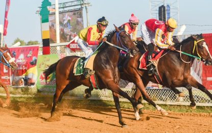 Horse racing dates for 2024 announced
