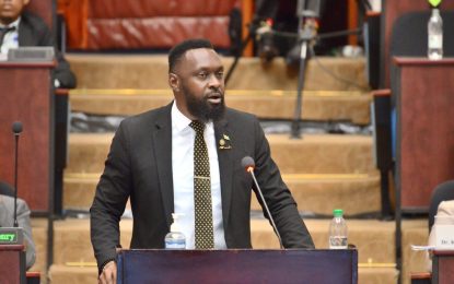 Key Parliamentary Oversight Committees in four-year coma