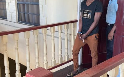 Homeless man gets free bed in jail for stealing phone