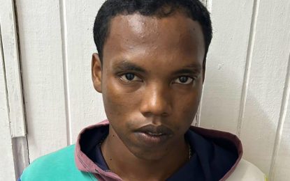 Home intruder shot, accomplice escapes during shootout with police