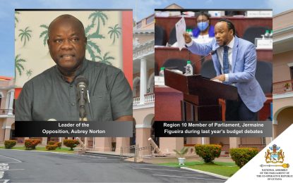 Figueira kicked out of Norton’s shadow cabinet