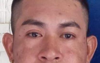 Man with Venezuelan Security ID found guilty of illegally entering Guyana