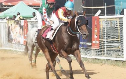 Unbeaten Spankhurst aiming to beat Bossalina again