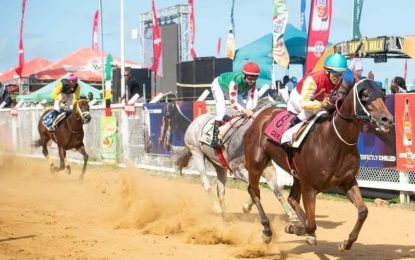 Spankhurst lands the ‘Jumbo’ prize at 2023 horseracing 1st award ceremony