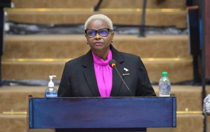 Govt. tampering with debt ceiling is evidence of no strategy – Volda Lawrence