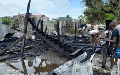 Child playing with lighter flattens La Grange home