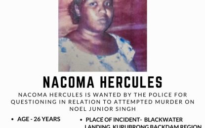 Woman wanted for killing “Bumble Bee”