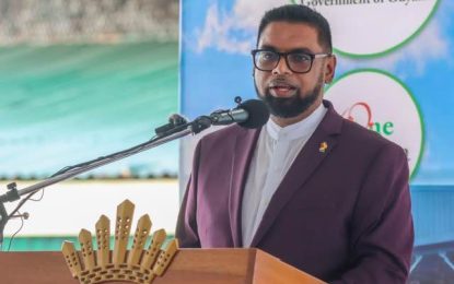 Govt. investing heavily in the Army to patrol border and offshore activities – Pres. Ali