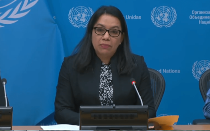Ceasefire in Gaza cannot wait another day – Guyana tells UN