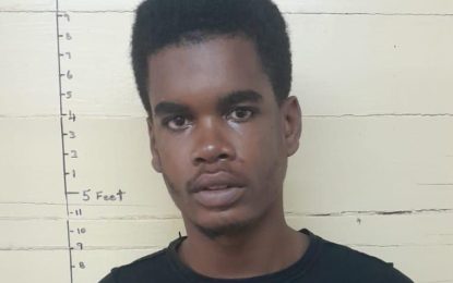 Haslington youth slapped with two counts of robbery under arms