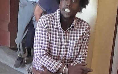 Cart pusher jailed for breaking doctor’s Mercedes Benz windshield