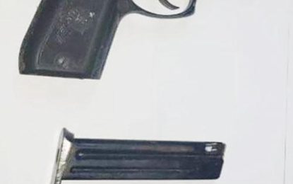 Man released on bail, after discharging loaded unlicensed gun, towards teen