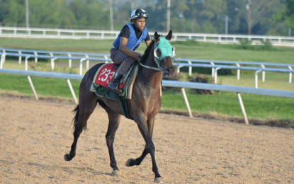 Trinidadian jockey projects growth in Guyana’s horse race industry