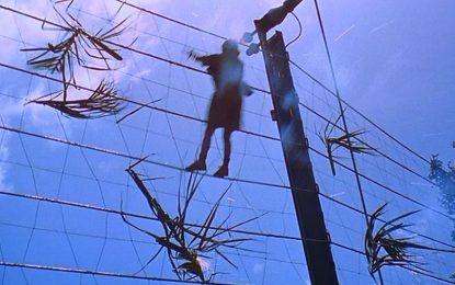 Farmer admits to burning body of man found on his electric fence